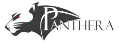 Panthera Technology Solutions Logo